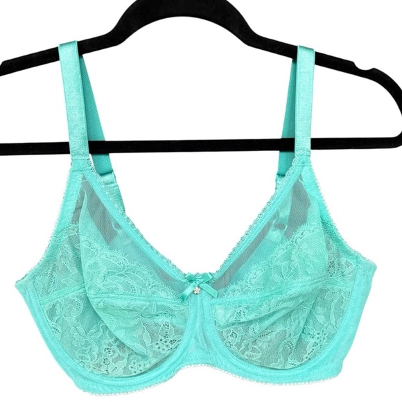 Wacoal Retro Chic Full Figure Bra 36D, Acqua Blue Sheer Mesh , Underwire, EUC - Picture 1 of 13